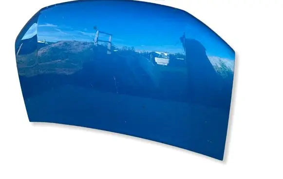 Dacia Sandero II Engine bonnet/hood 651001918R