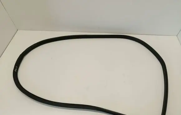 Rear door rubber seal (on body)