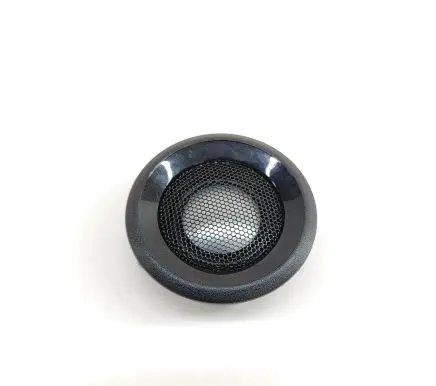 Rear door speaker