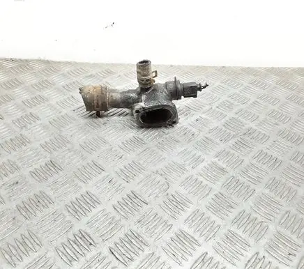 Thermostat/thermostat housing
