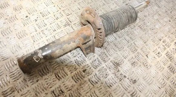Volkswagen PASSAT B6 Front shock absorber/damper 3C0413031A