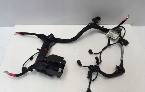 Engine installation wiring loom