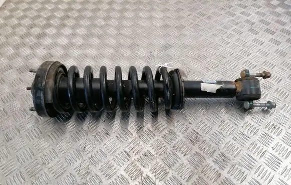 Ford F150 Front shock absorber/damper