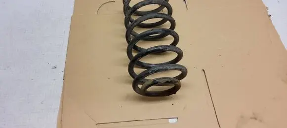 Seat Leon (1M) Front coil spring 1540001