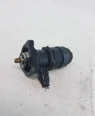 Thermostat/thermostat housing