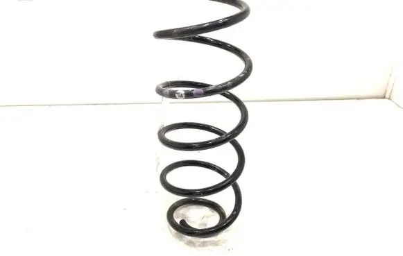 Rear coil spring