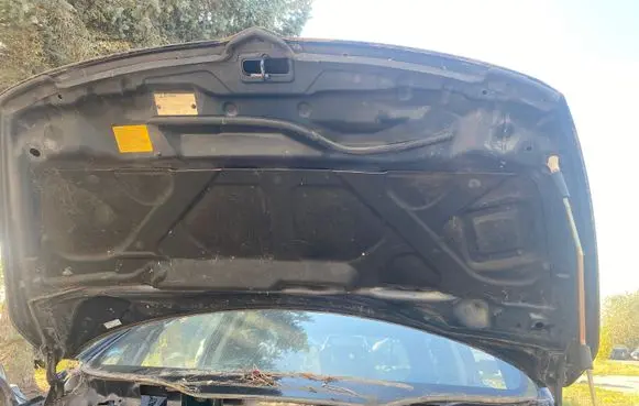 Mitsubishi Grandis Engine bonnet/hood
