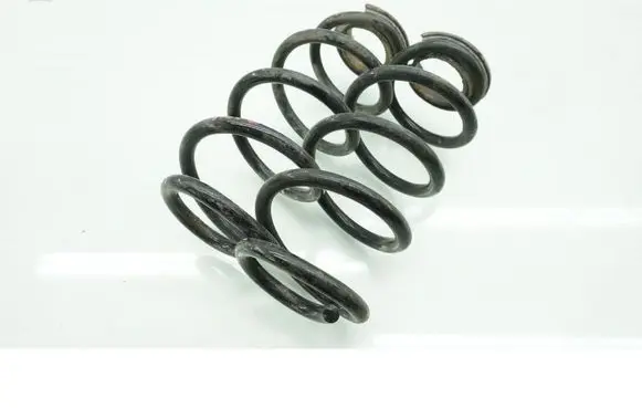 Rear coil spring