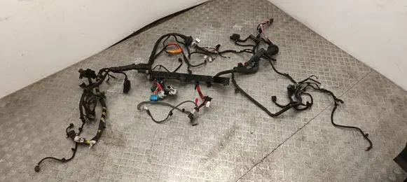 Tesla Model 3 Other wiring loom 101558500A