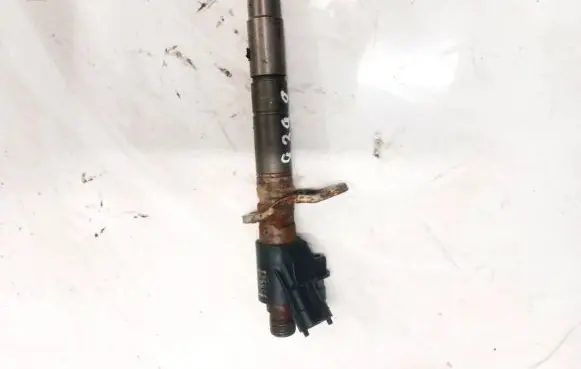 Volvo C30 Fuel injector 313032382371 110906