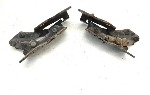 Hyundai Sonata Engine bonnet/hood hinges