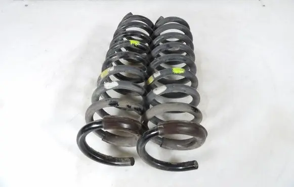 Rear coil spring