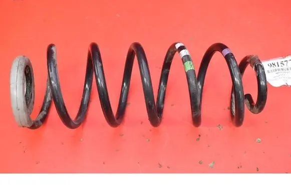 Rear coil spring