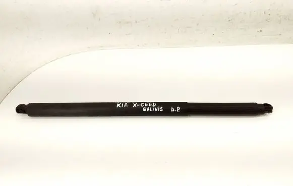 Tailgate/trunk strut/damper