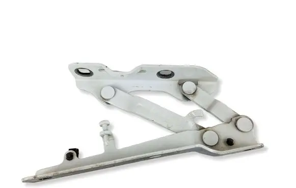 Tesla Model S Engine bonnet/hood hinges 600673800E