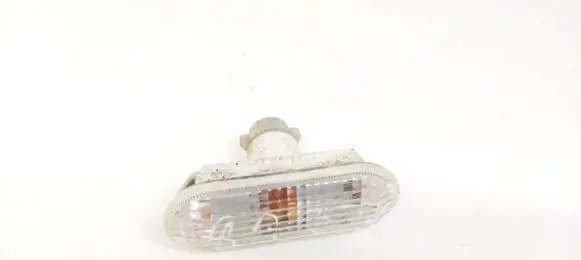 Front fender indicator light