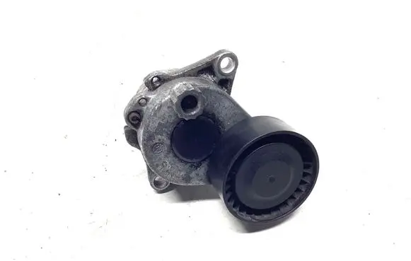Mercedes-Benz Sprinter W906 Alternator belt tensioner 