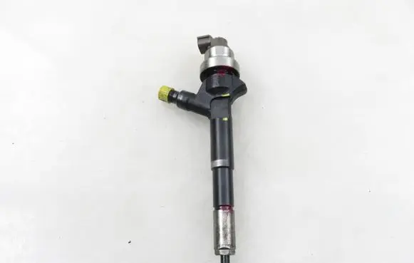 Opel Zafira B Fuel injector 8973762703