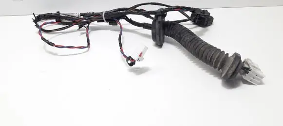 Hyundai i20 (PB PBT) Rear door wiring loom 916501J020