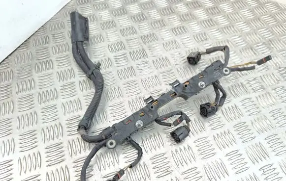 BMW 7 F01 F02 F03 F04 Fuel injector wires 7599696