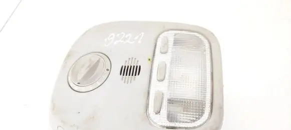 Peugeot 407 Front seat light