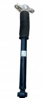 Tesla Model Y Rear shock absorber/damper 118846400B