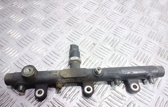 Peugeot 406 Fuel main line pipe 0445214019 0281002283