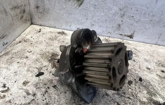 Volkswagen Golf V Water pump 313879