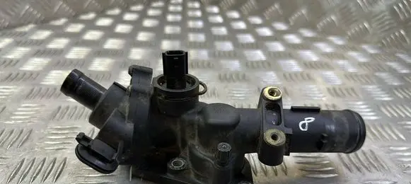 Thermostat/thermostat housing