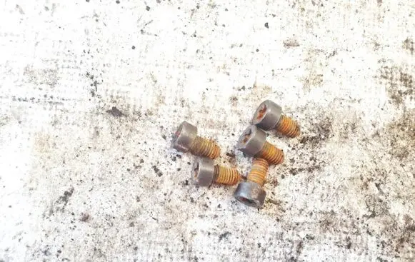 Renault Laguna III Nuts/bolts 