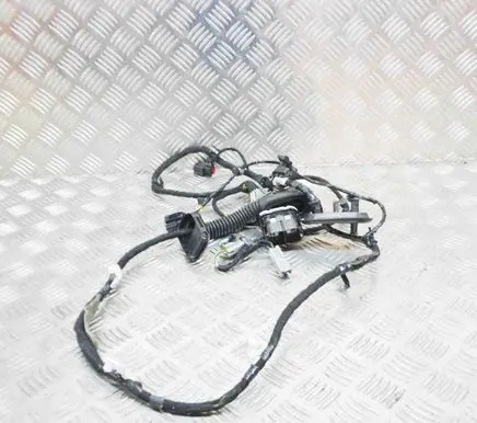 Ford Fiesta Front door wiring loom 