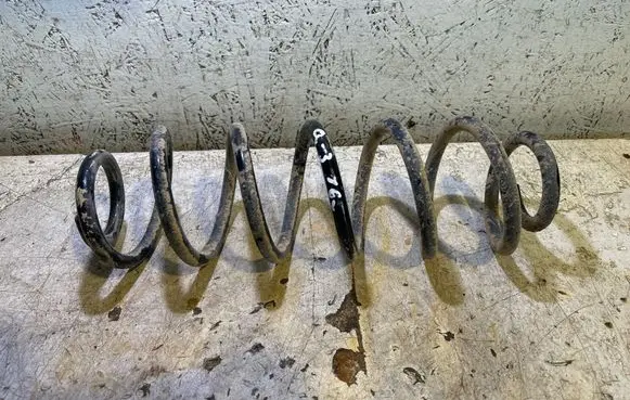Rear coil spring