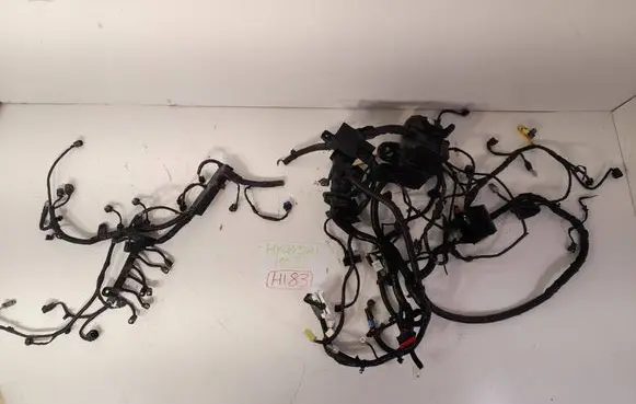 Hyundai i10 Other wiring loom