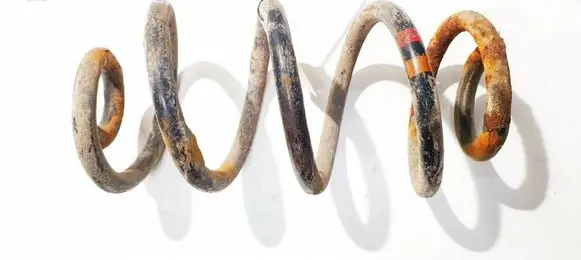 Nissan Qashqai Rear coil spring
