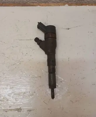 Peugeot 307 Fuel injector 0445110076 9641742880