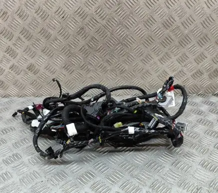 Tesla Model Y Other wiring loom 248904004B
