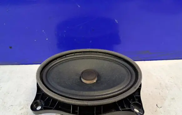 Lexus RX 450H Front door speaker 861600WW00 8957001001A