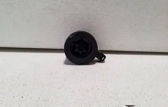 Polestar 2 Panel speaker 31456837