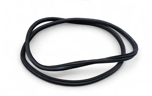 BMW X2 F39 Rear door rubber seal (on body) 7420803