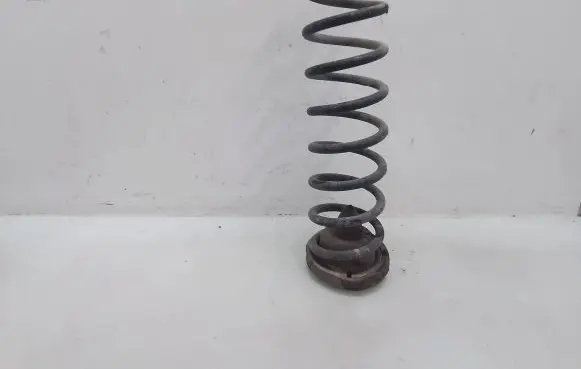 Rear coil spring