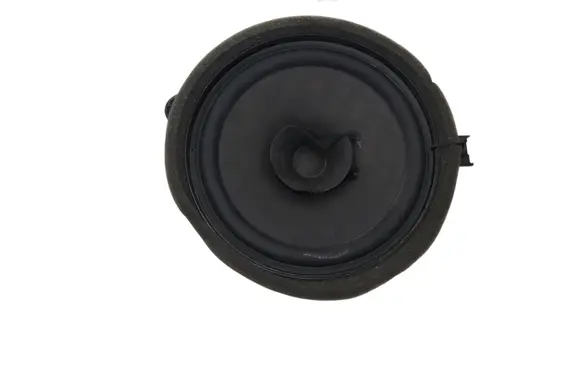 Front door speaker
