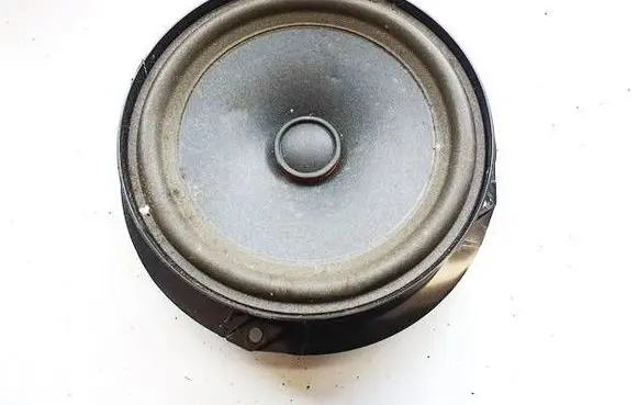 Volkswagen ID.4 Front door speaker 11A035710