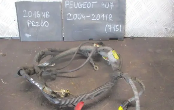 Peugeot 407 Positive cable (battery) 9651541580