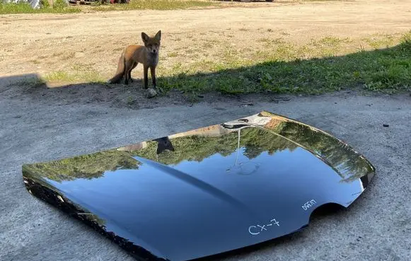 Mazda CX-7 Engine bonnet/hood EGY15231XD