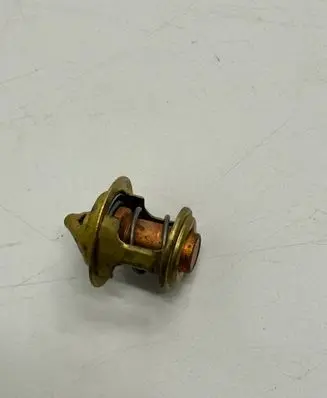 Ligier JS 50 Thermostat 145206062