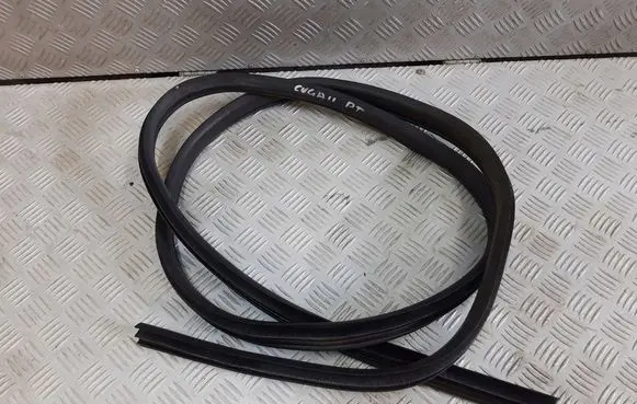 Ford Kuga II Rubber seal rear door 