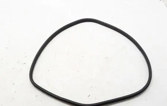 Renault Captur II Rear door rubber seal (on body) 769238549R