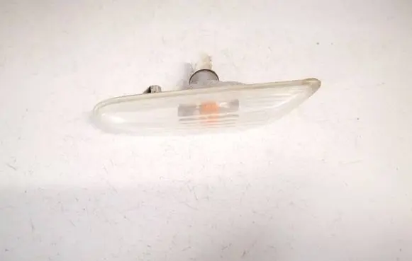 Front fender indicator light