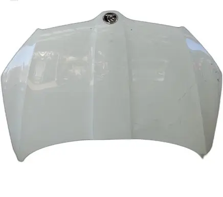 Skoda Yeti (5L) Engine bonnet/hood 