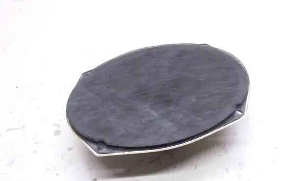 Rear door speaker